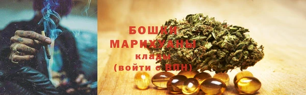 молекула духа Бронницы