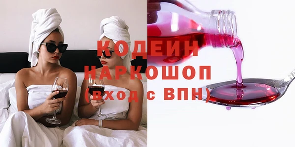 молекула духа Бронницы