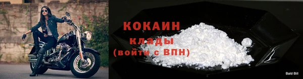 молекула духа Бронницы