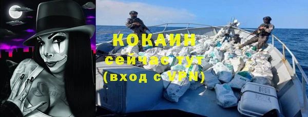 молекула духа Бронницы