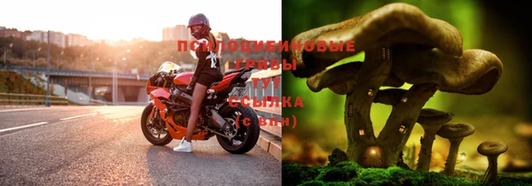 круглые Бородино