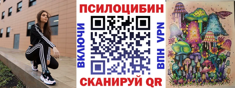 Псилоцибиновые грибы ЛСД Купить где Белокуриха