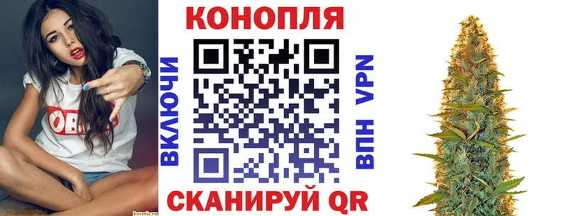 Купить закладки  Белокуриха  Бошки Шишки гибрид 